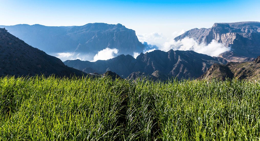 Jebel Akhdar (Green Mountains), Cyrenaica, Northeast Libya, Libya